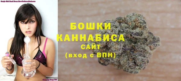 гидра Абаза