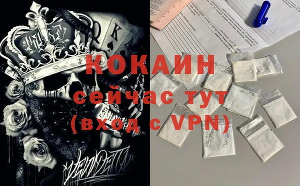 спайс Алексин