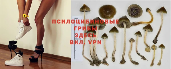гидра Абаза