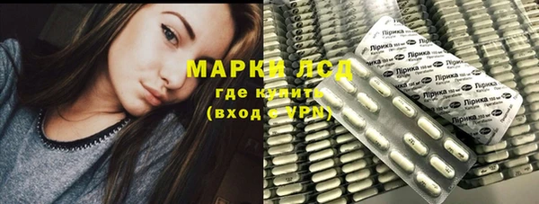 гидра Абаза