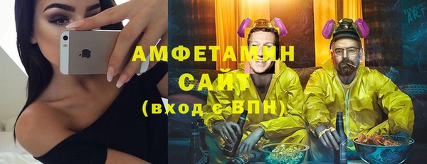 гидра Абаза