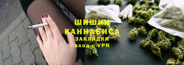 гидра Абаза