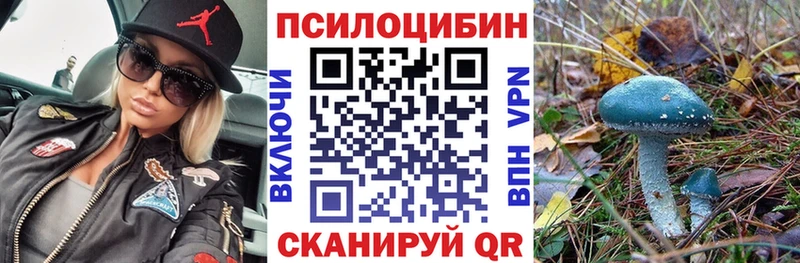 Галлюциногенные грибы MAGIC MUSHROOMS  ОМГ ОМГ как войти  Кострома 